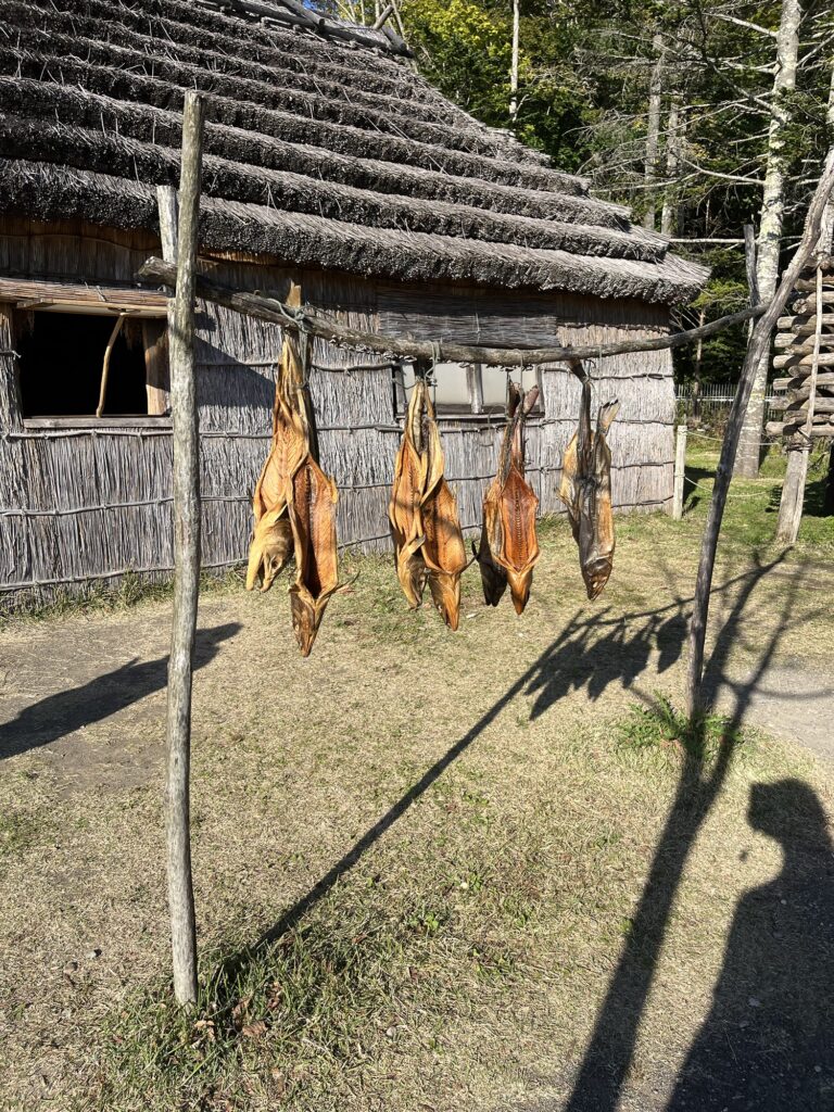 Drying Salmon