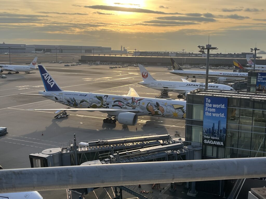 Pokemon Plane