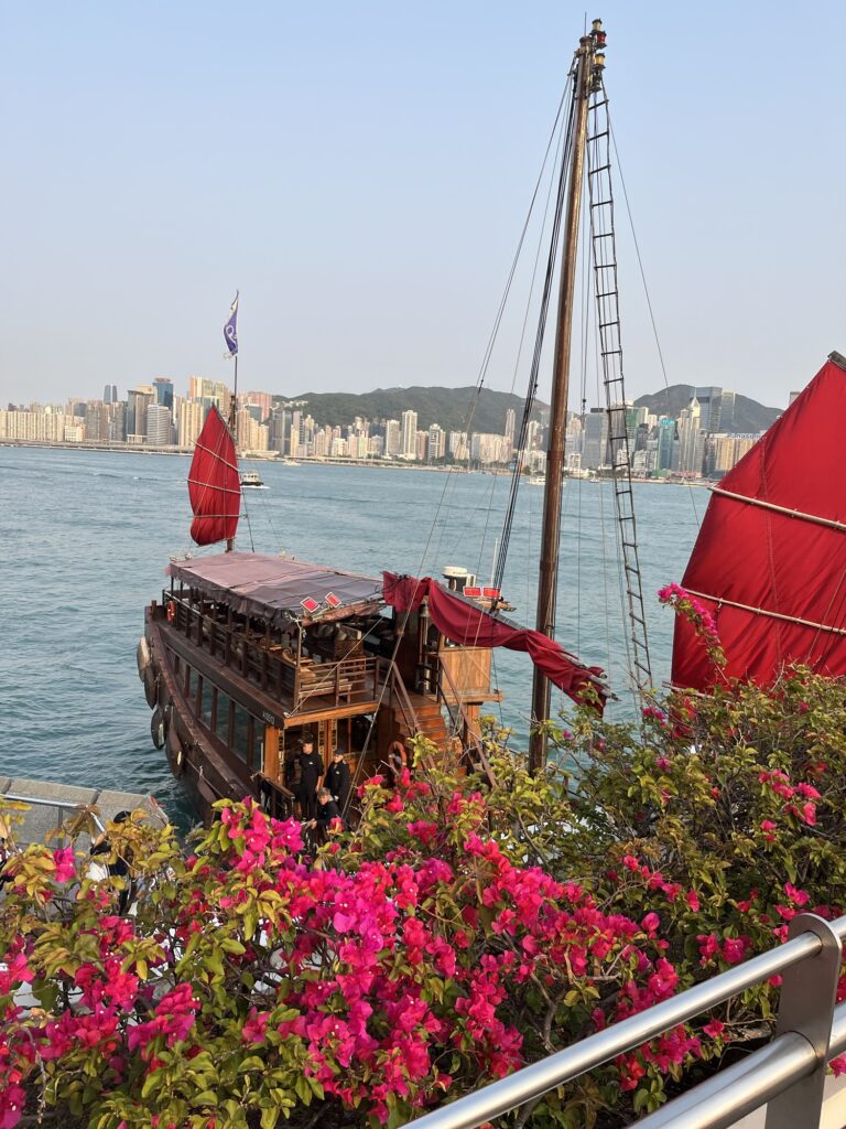 Chinese Pirate Ship