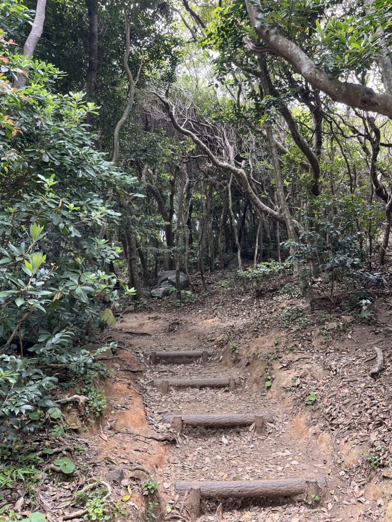 Itoshima's Totoro Forest